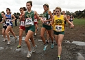 2010NCSXC GD2-2245